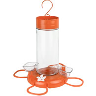Orange Blossom Glass Oriole Feeder with Jelly Attachments
