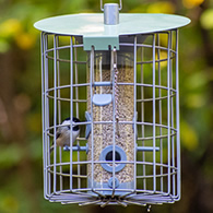 The Nuttery Roundhaus Seed Feeder, Celadon Green