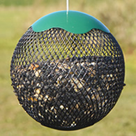 Hanging Seed Sphere