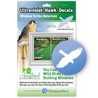 Hawk WindowAlert Decals