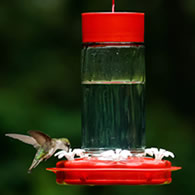 Scarlet Swirl Glass Gravity Hummingbird Feeder
