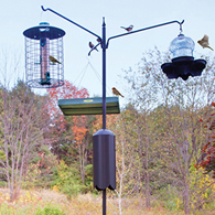 Squirrel-Proof Bird Feeding Station