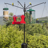 Squirrel-Proof Four Arm Bird Feeding Station (Out of Stock)