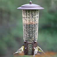 Perky-Pet Squirrel-Be-Gone Max Feeder