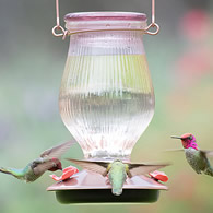 Rose Gold Top-Fill Glass Hummingbird Feeder