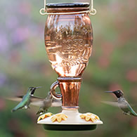 Sugar Maple Hummingbird Feeder