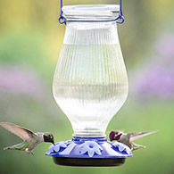 Grand Oasis Top-Fill Glass Hummingbird Feeder