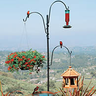 Yard Tree Bird Feeder Hanger