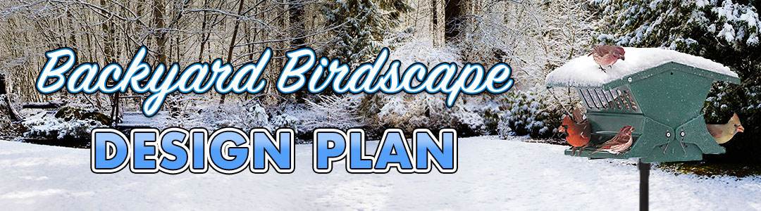 Birdscape Your Winter Backyard