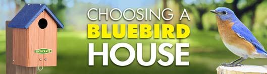 Choosing A Bluebird House