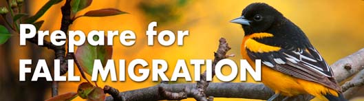 Fall Migration Tips