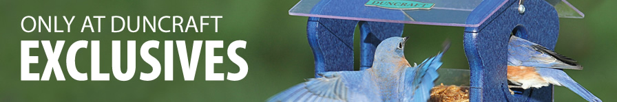 Duncraft Exclusive Bluebird Bird Feeders