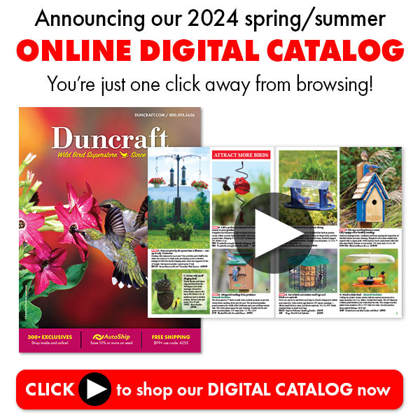 Online Digital Catalog
