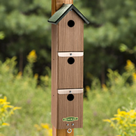 Duncraft Swallow & Sparrow Colony Nesting Box