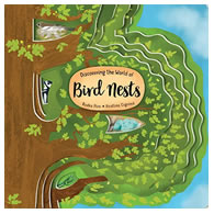 Discovering The World Of Bird Nests Board Book