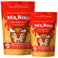Mr. Bird Flaming Hot Feast Wild Bird Seed, 2 or 4-lb bag