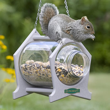 Feeders for Squirrels and more