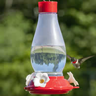 30 oz. Plastic Hurricane Hummingbird Feeder with Ant-Moat