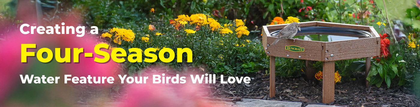 Creating a Four-Season Water Feature Your Birds Will Love
