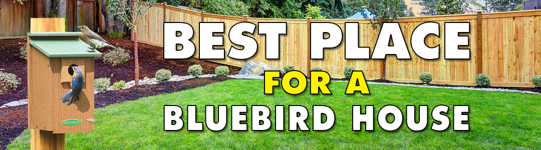 A bird stands on a roof next to a birdhouse, with a wood fence and blue tent visible in the background amidst trees.