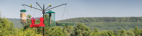 Bird feeder bracket with feeders and mountains in the background. 