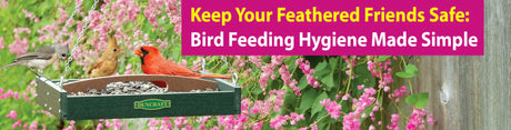 Blog Article Image of a Platform Feeder with Birds