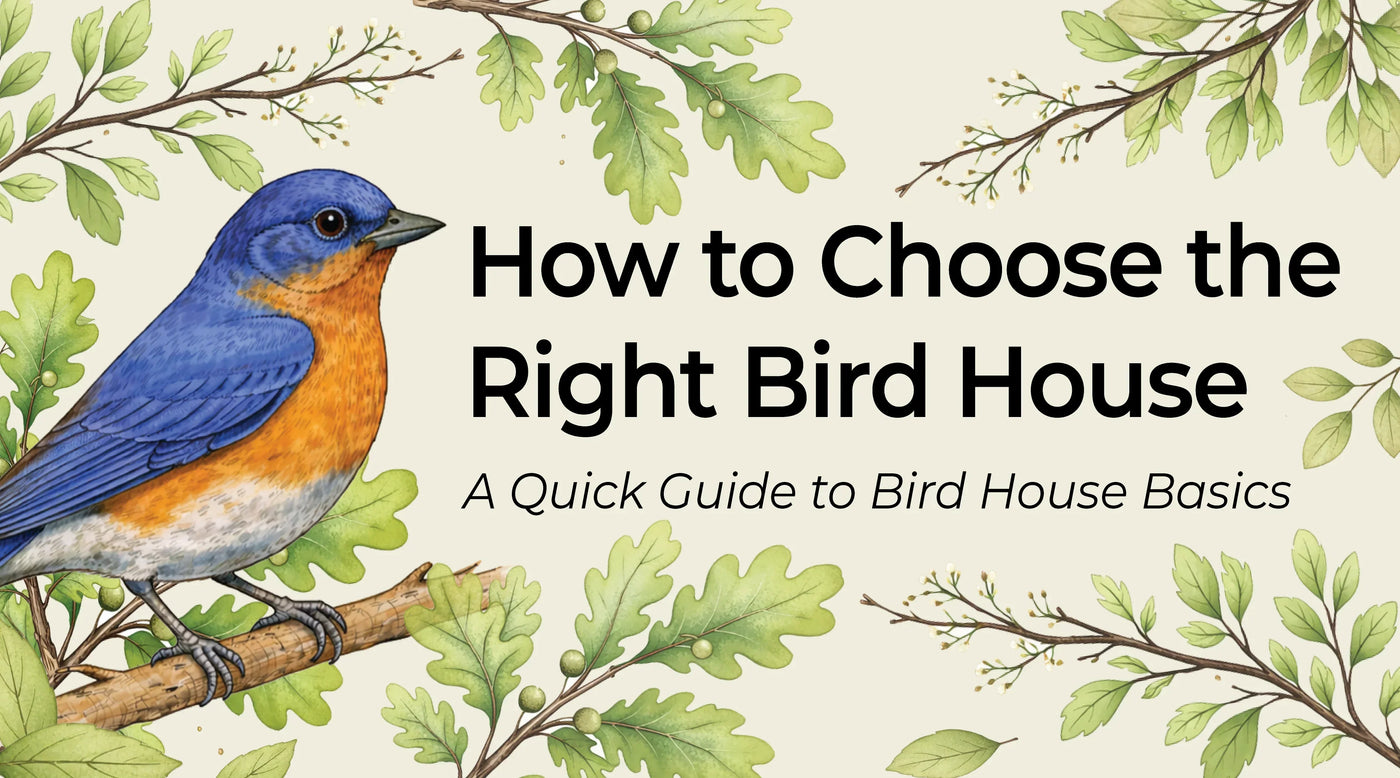 Choosing the Right Bird House
