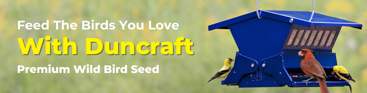 Feed The Birds You Love With Duncraft Premium Wild Bird Seed