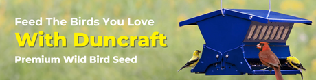 Feed The Birds You Love With Duncraft Premium Wild Bird Seed