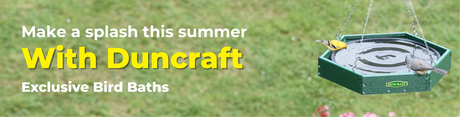 Make a Splash This Summer with Duncraft Exclusive Bird Baths