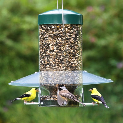 Aspects Antique Brass 4 Port Tube Bird Feeder Set – Duncraft