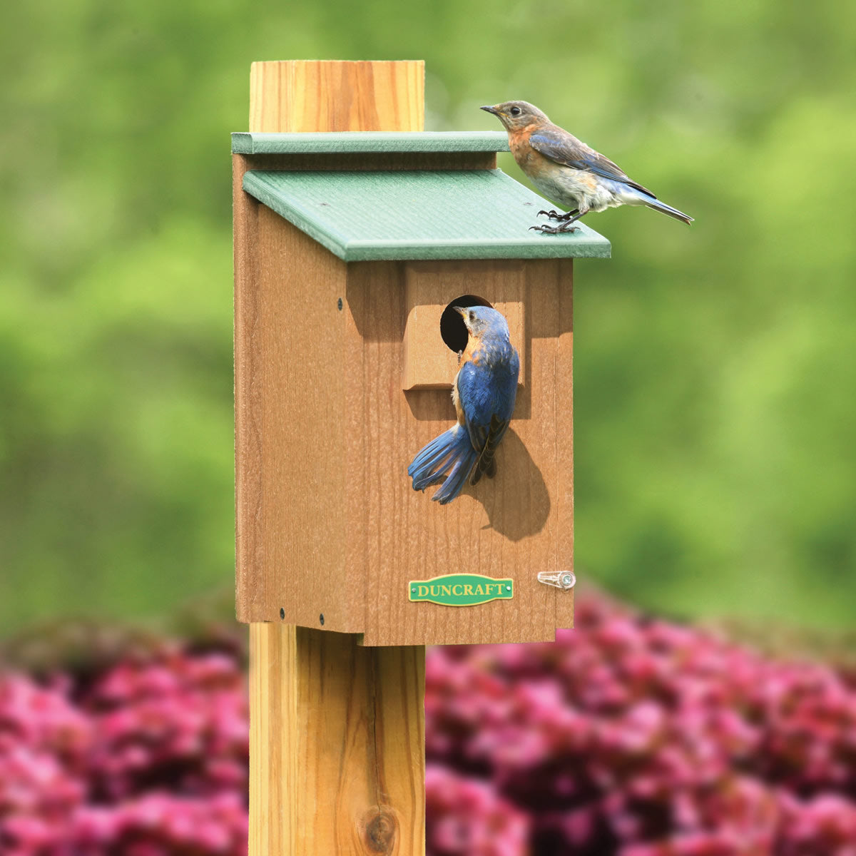 Spruce Big Tube Feeder | Six Port Wild Bird Feeder | Duncraft