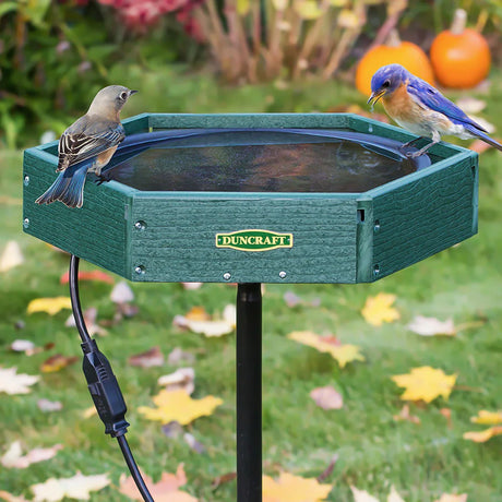 Green octagonal bird bath by Duncraft with two songbirds perched on the rim, set against a grassy yard with autumn leaves.