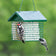 EZ Fill Deluxe Suet Feeder outdoors with Downy Woodpecker and Black-capped Chickadee feeding. Features a protective metal roof and holds four suet cakes.