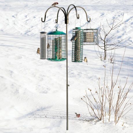 Adjustable Quad Bird Feeder Hanger with four birds on feeders in snowy outdoor setting, showing the stable pole with four hangers and adjustable height.