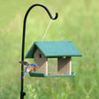 Adjustable Single Birdfeeder Hanger with a bird perched on the feeder, showcasing the sturdy, height-adjustable pole for easy, stable outdoor bird feeding.