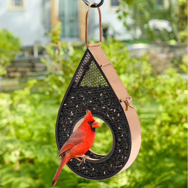 Rain Drop Fly-Thru Copper Bird Feeder with mesh panels and copper frame, featuring a red Northern Cardinal perched, showcasing its elegant, functional design.