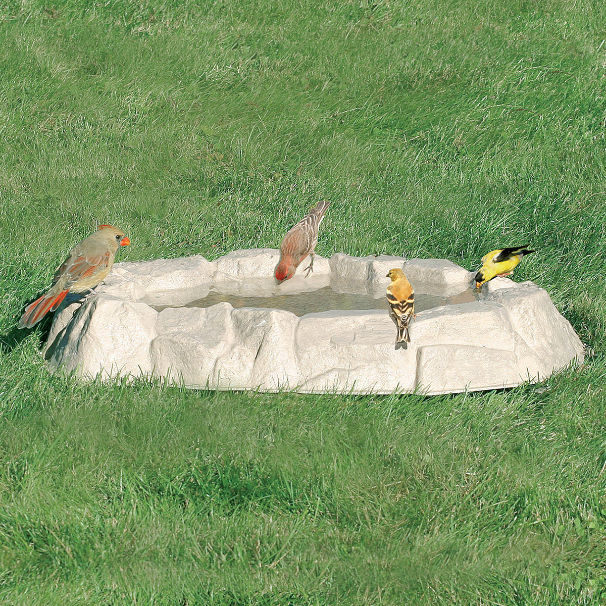 Rocky Mountain Spring Bath featuring birds drinking and standing on a stone-like polyresin and fiberglass bath with multiple water depths and non-slip surface.