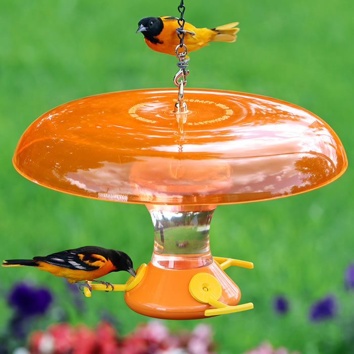 Fliteline Oriole Feeder & Orange Weather Baffle with two birds feeding at the ports, featuring bee guards and an easy-to-clean, clear plastic reservoir.