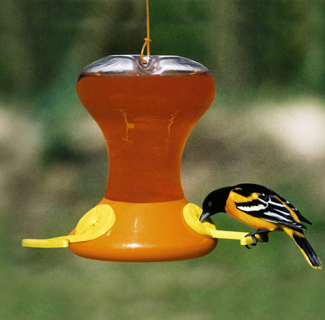 Fliteline Oriole Feeder with bird drinking from one of three feeding stations, featuring floating bee guards and a clear plastic reservoir for easy nectar level viewing.