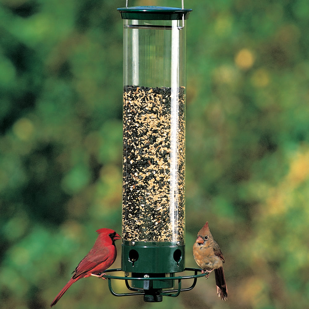 Droll Yankees Squirrel-Proof Flipper Bird Feeder with birds perching on its circular perch, featuring four feeding ports and a motorized, squirrel-deterring spinning mechanism.