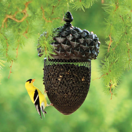 Acorn Shaped Mesh Feeder (Out of Stock): A small yellow bird perches on a decorative acorn-shaped bird feeder filled with sunflower seeds.