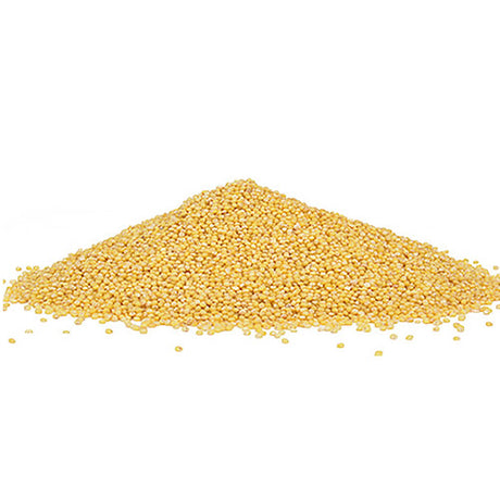 Duncraft Hulled Millet Wild Bird Seed, 10-lb bag, featuring a pile of yellow millet grains, ideal for attracting buntings, juncos, and other ground-feeding birds.