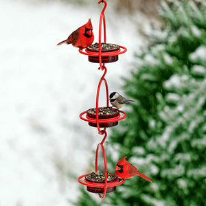 Red Hanging Sphere Feeder, Set of 3, with birds eating from the red dish surrounded by a sturdy steel frame, ideal for attracting various birds.