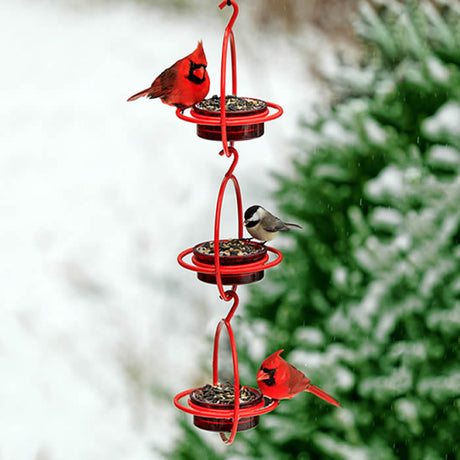 Red Hanging Sphere Feeder, Set of 3, with birds eating from the red dish surrounded by a sturdy steel frame, ideal for attracting various birds.