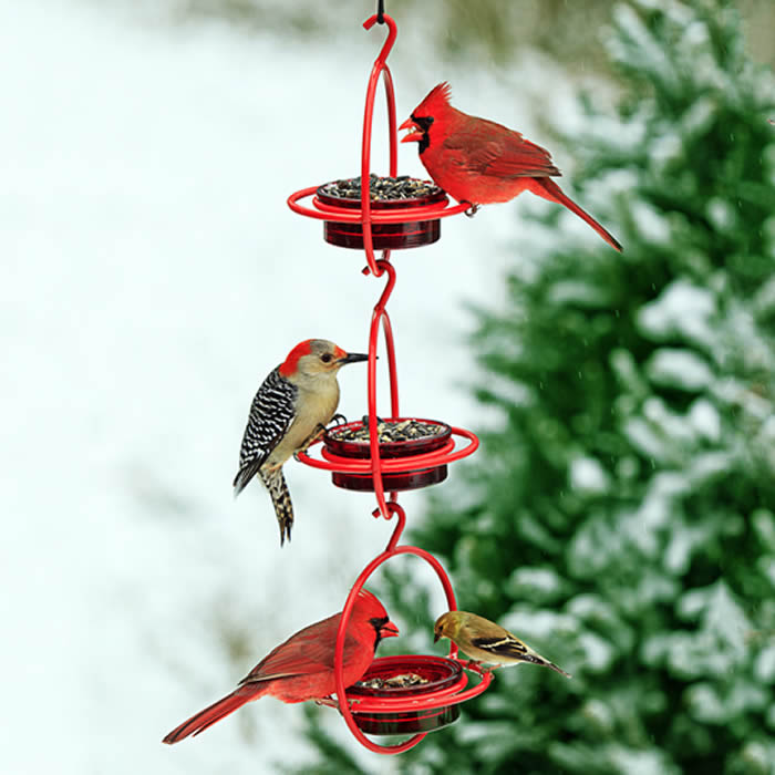 Red Hanging Sphere Feeder, Set of 3, featuring a durable steel frame and red glass dishes, with birds actively feeding from the attached perches.