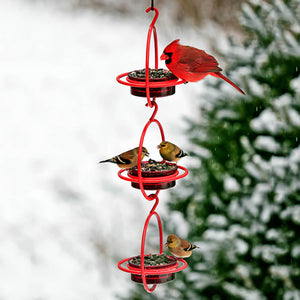 Red Hanging Sphere Feeder, Set of 3: A red bird eats from one of the three durable, glass-dish feeders with wraparound perches, perfect for attracting various birds.