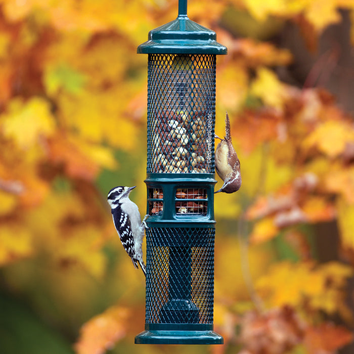 Squirrel Buster Nut Feeder with woodpeckers feeding on it, showcasing its weight-sensitive mesh shroud designed to block squirrels.