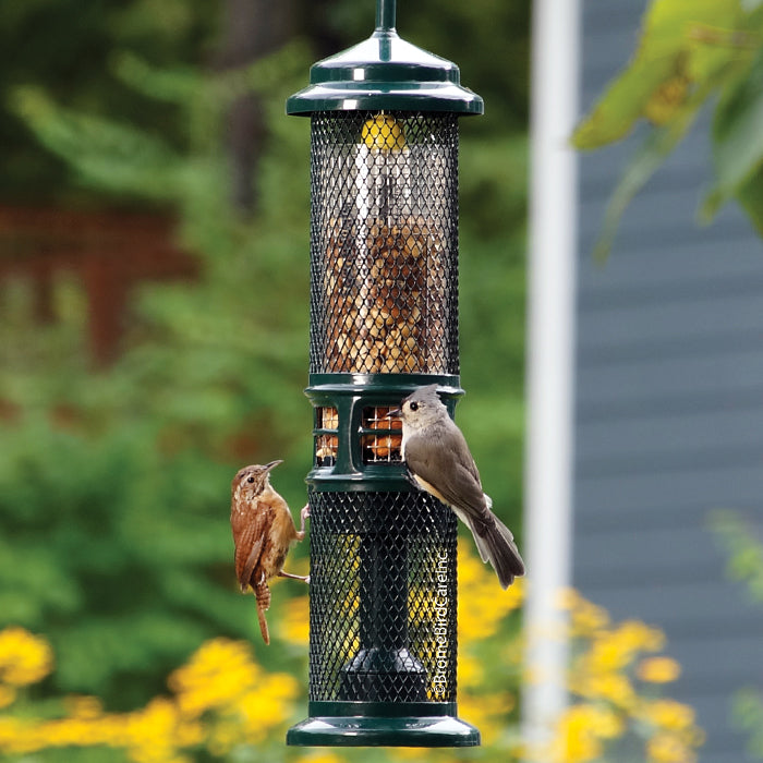 Squirrel Buster Nut Feeder with bird perching on feeder, showcasing weight-sensitive mesh to deter squirrels. Holds nuts or fruit, ideal for attracting woodpeckers.