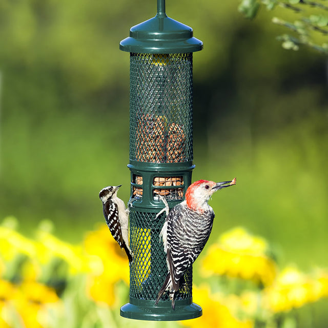 Squirrel Buster Nut Feeder with birds feeding, featuring a weight-sensitive mesh shroud to prevent squirrels, and a built-in tail prop area for woodpeckers.